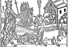 History in Deed: Medieval Society & The Law in England, 1100-1600