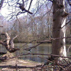 Chamberlain's Pond on Rectory Hill | Pat Marsden