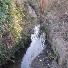The Brook emerges from under Queens Road and runs along between No 56 and 58 Queens Road before it disappears under the railway line on its way to the marshes | Pat Marsden